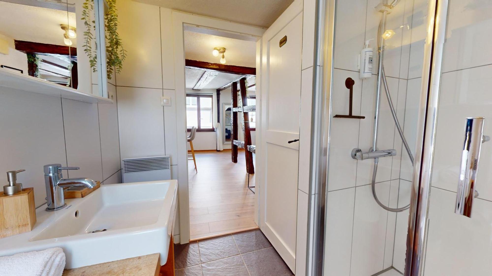 Au Petit Vauban 2 Chambres & Parking Colmar Ngoại thất bức ảnh