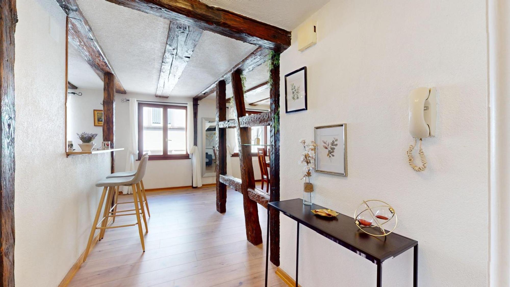 Au Petit Vauban 2 Chambres & Parking Colmar Ngoại thất bức ảnh